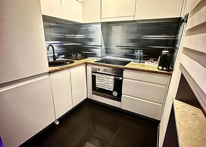 Centrum Planty X Apartament Radom